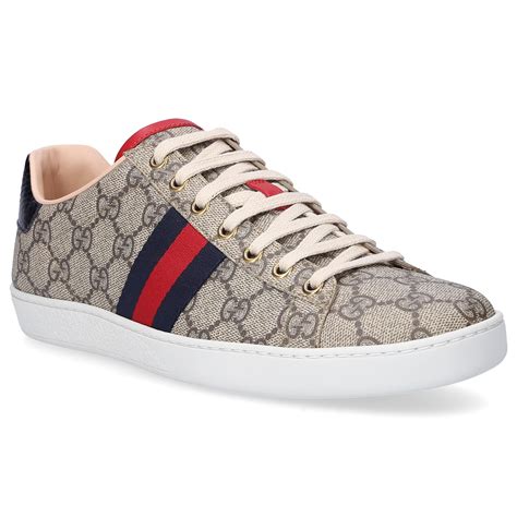 gucci shoes low top